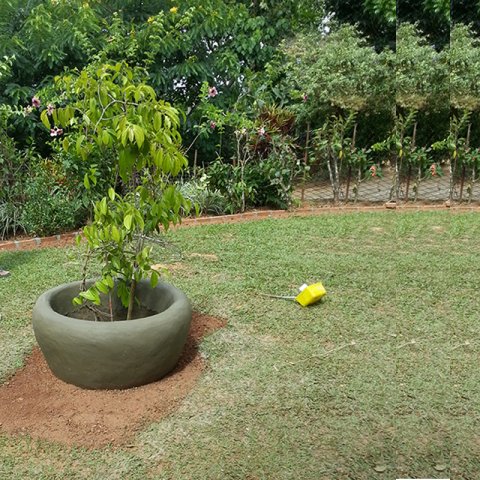 Landscaping Programe - Kandy